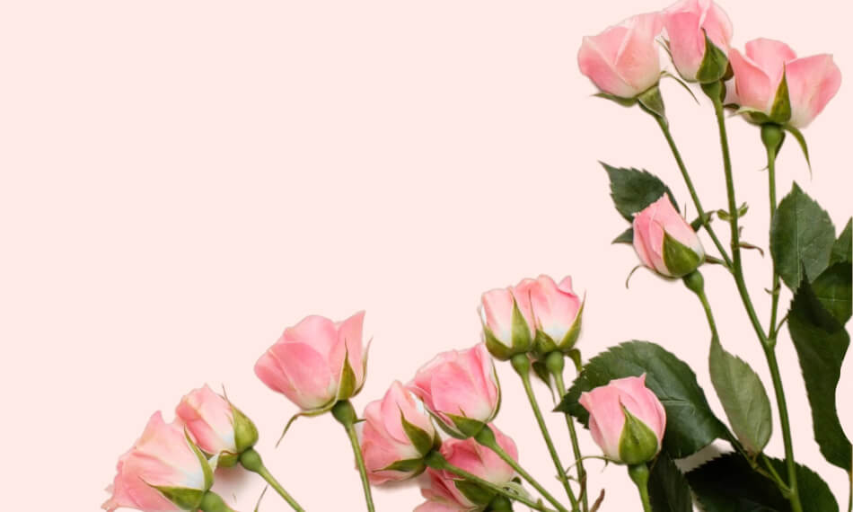 h4-service4 h4-service4